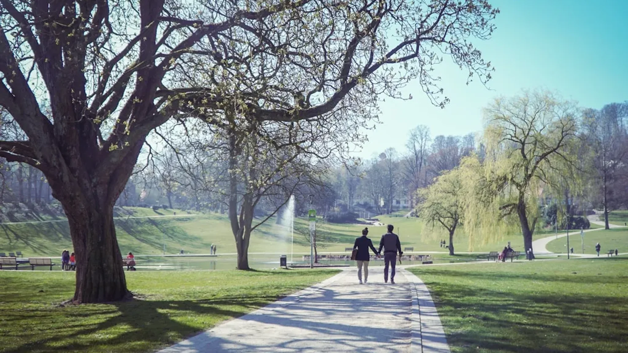 Dein Catering in Bielefeld: Premium, einfach, lecker