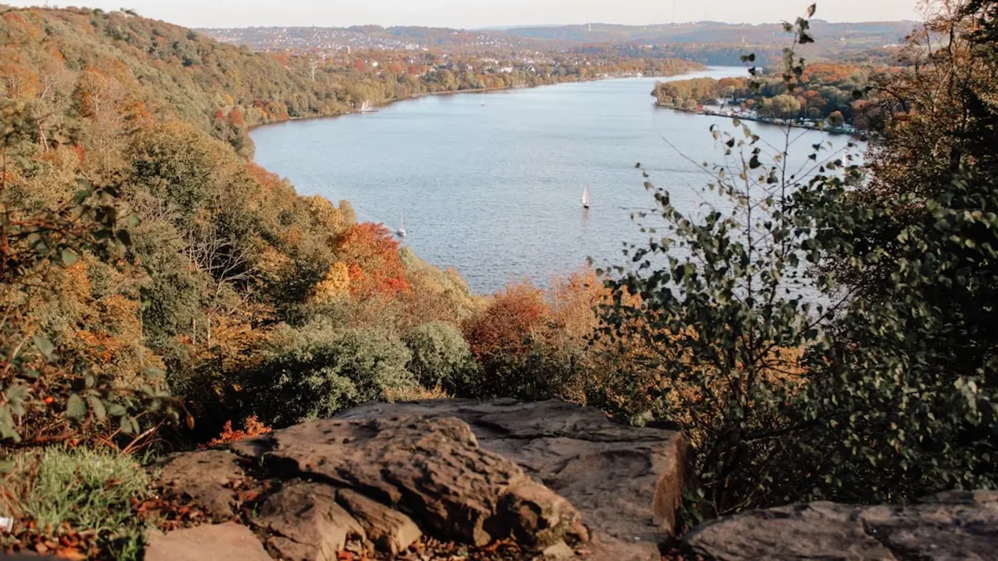 Catering in Essen: Genuss für jeden Anlass