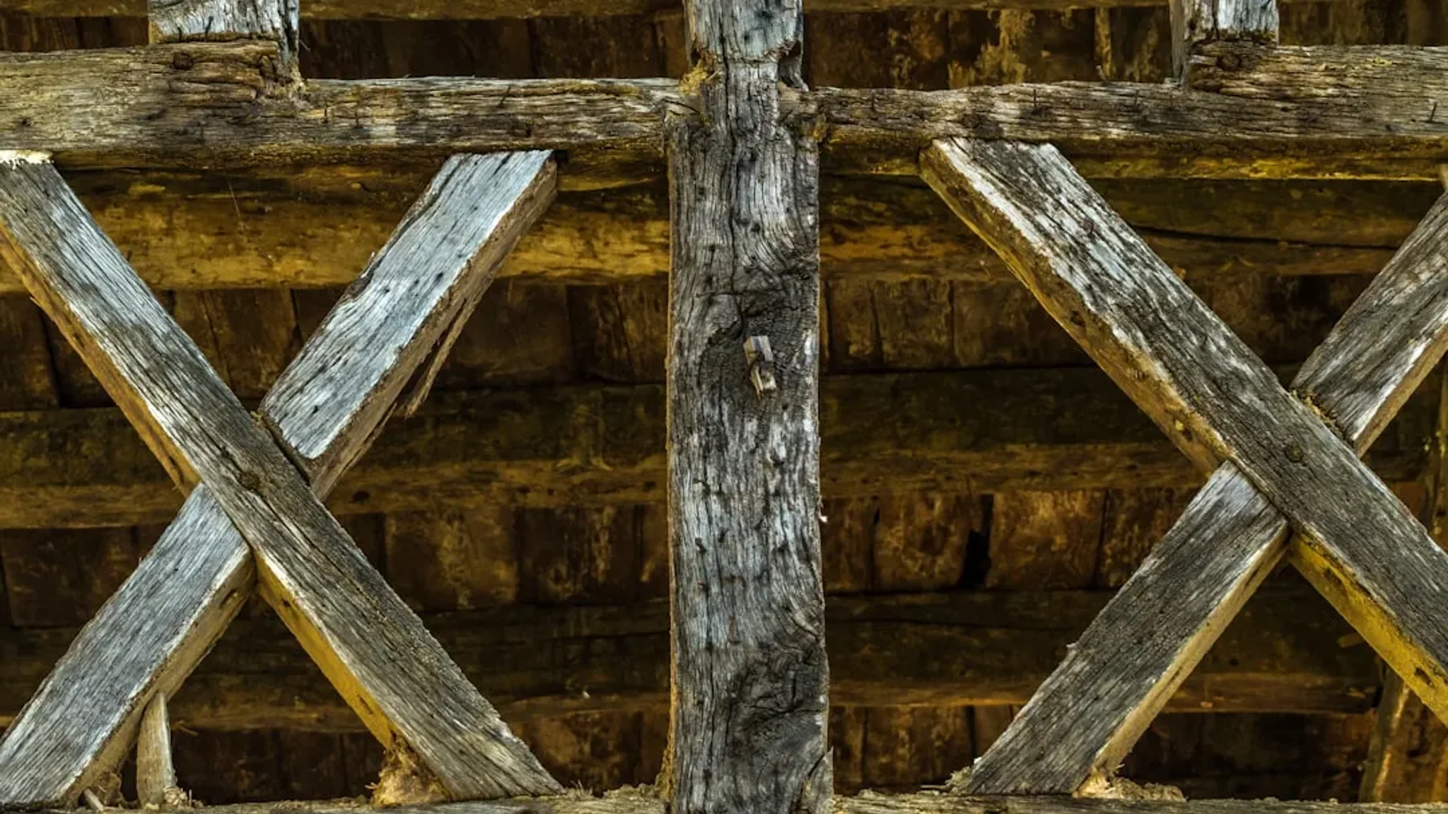 Catering in Solingen: Premium-Qualität für Ihre Events