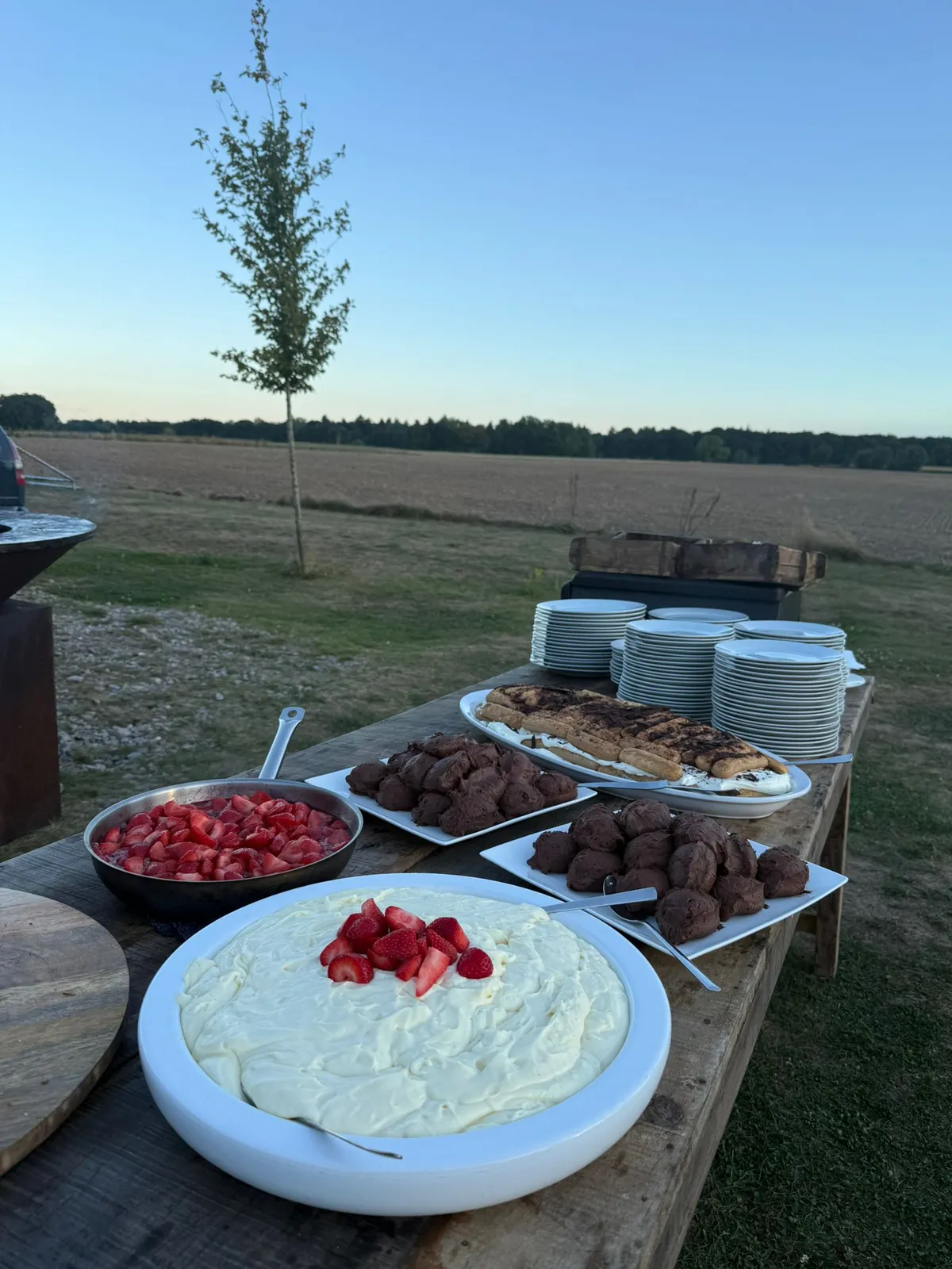 Premium event catering premium 29.webp - Catering Impression 20